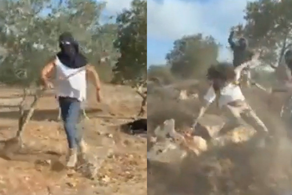 Cisgiordania, coloni mascherati picchiano contadini palestinesi: il video di un reporter americano Cisgiordania, coloni mascherati picchiano contadini palestinesi: il video di un reporter americano