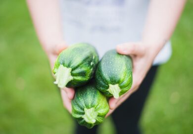 Cortilia, il modello della filiera corta non ripaga. Due anni per invertire la rotta