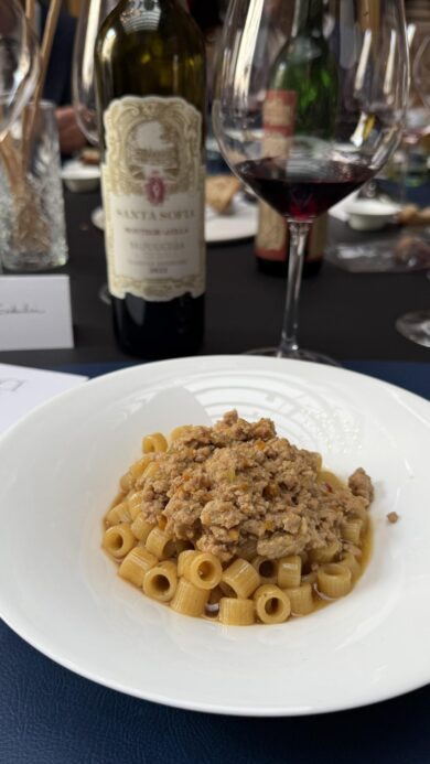 Vini storici, Gioè e Montegradella: 60 candeline d’autore per i gioielli della Valpolicella