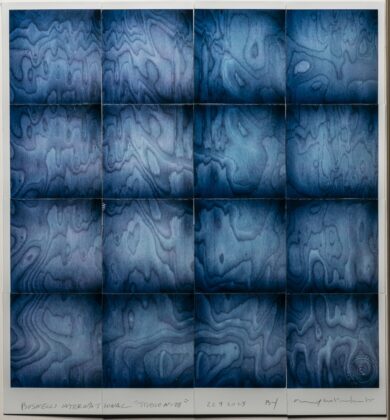 “Materia e visione”: la mostra di Maurizio Galimberti ha registrato un boom di presenze