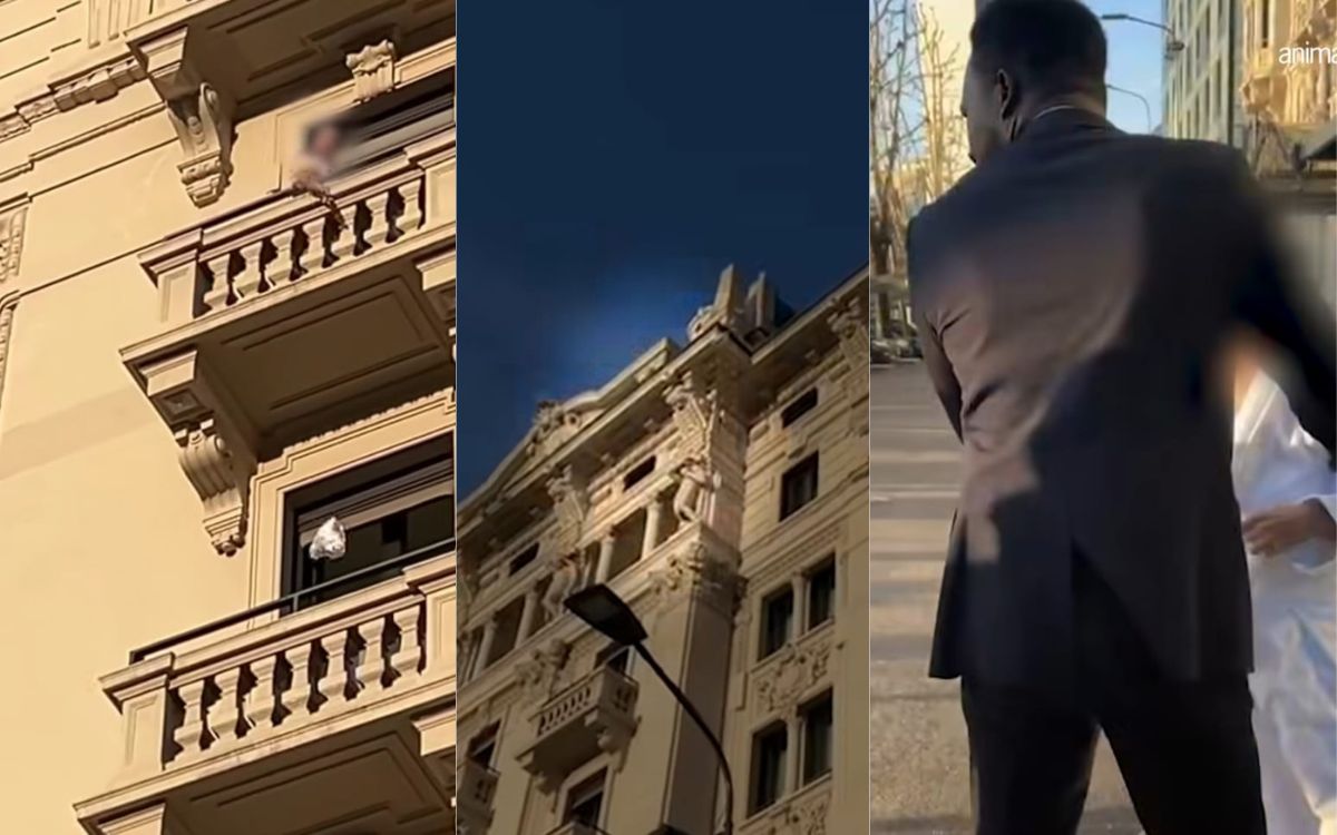 Protesta animalista sotto l’Hotel Gallia di Milano, una cliente furiosa lancia pannolini spochi e bottiglie. VIDEO Protesta animalista sotto l’Hotel Gallia di Milano, una cliente furiosa lancia pannolini spochi e bottiglie. VIDEO