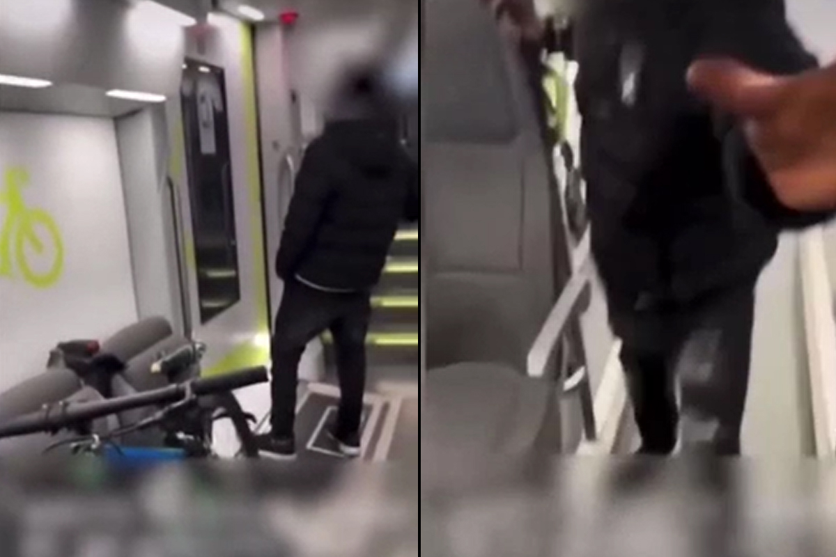 Modella aggredita sul treno per Milano, il video completo. IMMAGINI FORTI Modella aggredita sul treno per Milano, il video completo. IMMAGINI FORTI