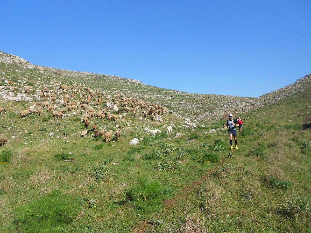 Correre in Puglia, oltre 300 atleti per MurGeoPark Trail Experience