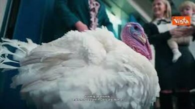 I tacchini Gobble e Waddle passeggiano in giardino Casa Bianca prima della cerimonia di grazia