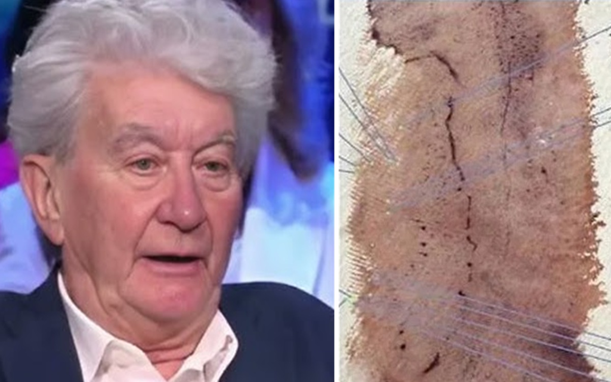Chi è Denise Albani, la genetista del delitto Garlasco che ha “incastrato” Sempio con la comparazione del Dna Chi è Denise Albani, la genetista del delitto Garlasco che ha “incastrato” Sempio con la comparazione del Dna