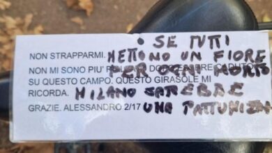 Chi era Alessandro Meszely: i girasoli di via Dezza e Milano che si riscopre umana