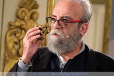 Matera, Asta Mondiale del Tartufo Bianco pregiato di Basilicata
