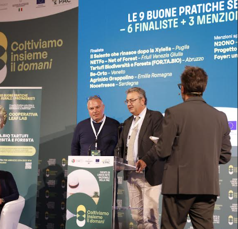 Xylella, la Puglia soffre e combatte: al Masaf di Roma premiata l’azienda salentina Agrosì Xylella, la Puglia soffre e combatte: al Masaf di Roma premiata l’azienda salentina Agrosì