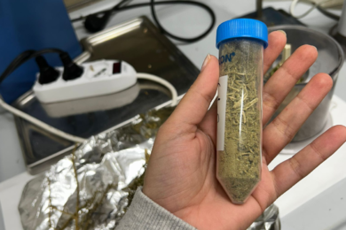 ANBI promuove il progetto Venus per rendere resilienti i territori minacciati dalla salinizzazione