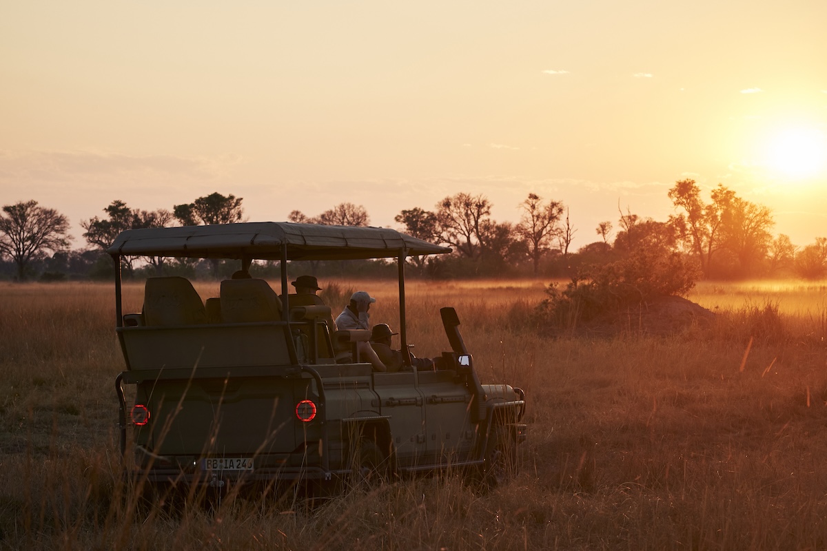 INEOS Grenadier Game Viewer: il 4×4 per safari in arrivo nel 2026 INEOS Grenadier Game Viewer: il 4×4 per safari in arrivo nel 2026