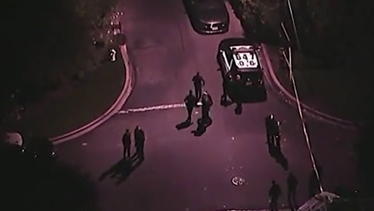 Los Angeles, Rob Reiner e la moglie morti in casa: ferite da arma da taglio. Il video della villa Los Angeles, Rob Reiner e la moglie morti in casa: ferite da arma da taglio. Il video della villa