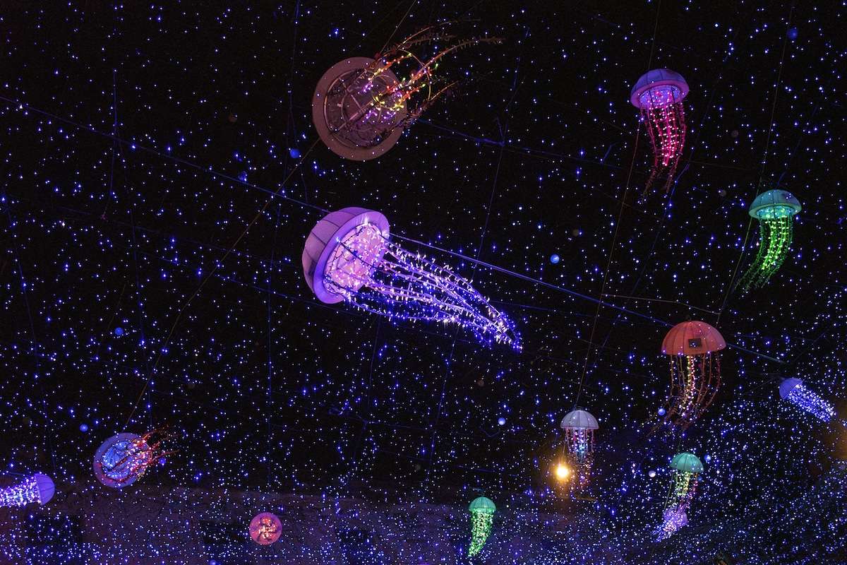 Salerno Luci d’Artista: 20 anni di arte pubblica e innovazione Salerno Luci d’Artista: 20 anni di arte pubblica e innovazione