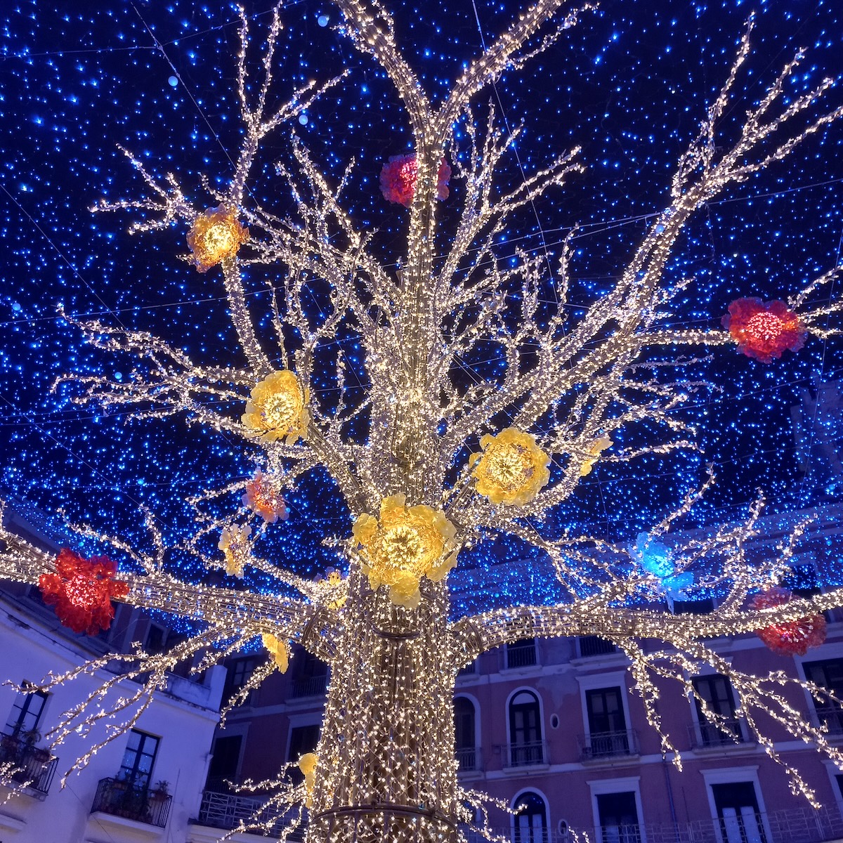Salerno Luci d’Artista: 20 anni di arte pubblica e innovazione Salerno Luci d’Artista: 20 anni di arte pubblica e innovazione