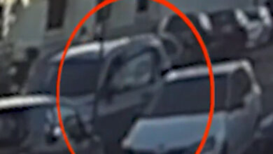 Milano, rapina choc in strada: strappa orecchini da 100mila euro a una donna. Il video