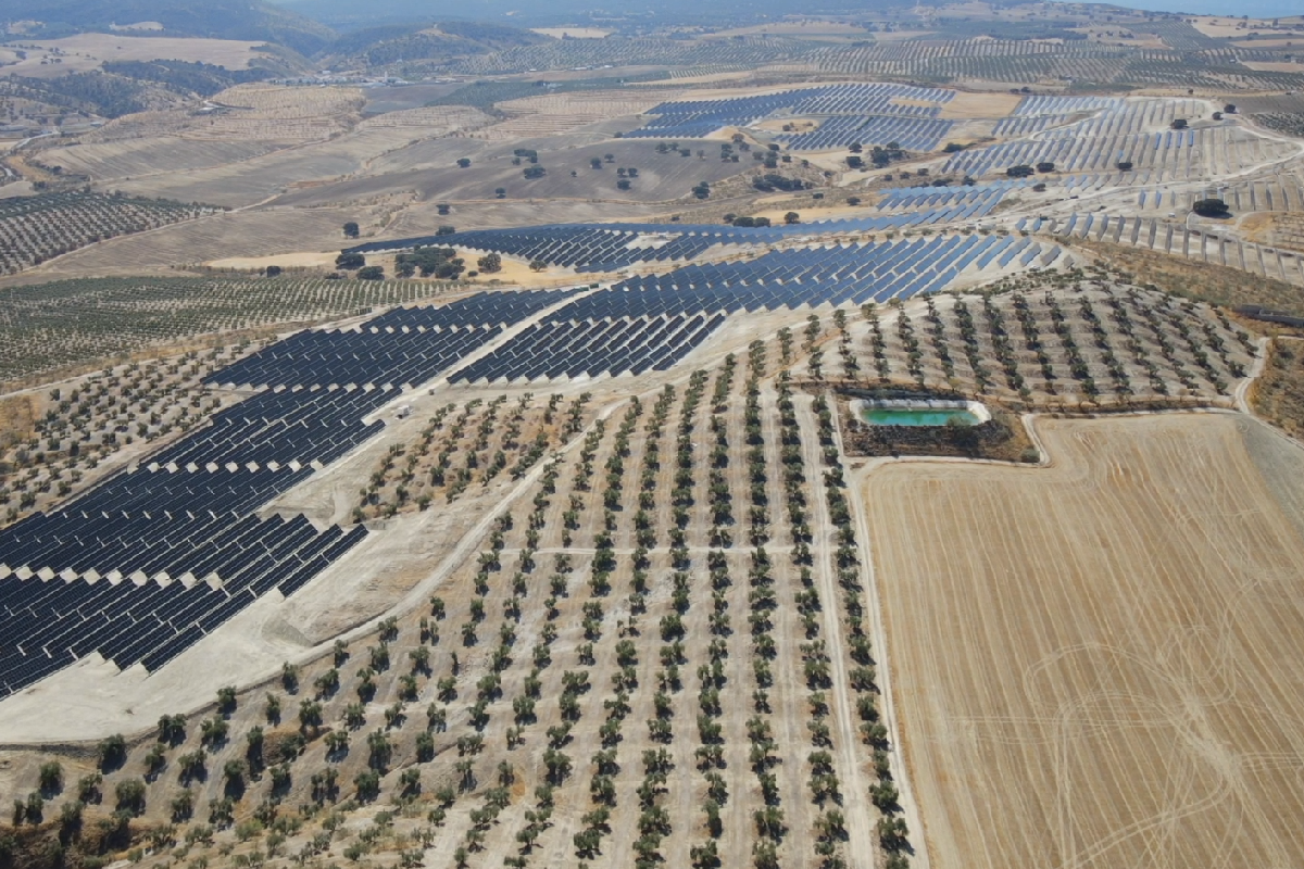 Plenitude: nuovo impianto fotovoltaico da 150 MW a Caparacena tra energia e patrimonio Plenitude: nuovo impianto fotovoltaico da 150 MW a Caparacena tra energia e patrimonio