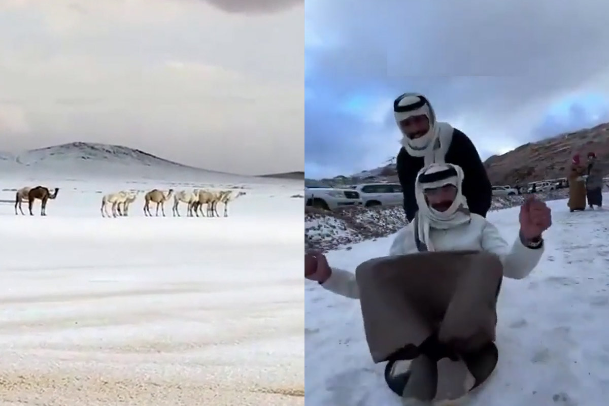 Neve nel deserto dell’Arabia Saudita: non accadeva da 30 anni. Il video diventa virale Neve nel deserto dell’Arabia Saudita: non accadeva da 30 anni. Il video diventa virale