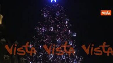 Ecco l’albero di Natale del Vaticano a Piazza San Pietro