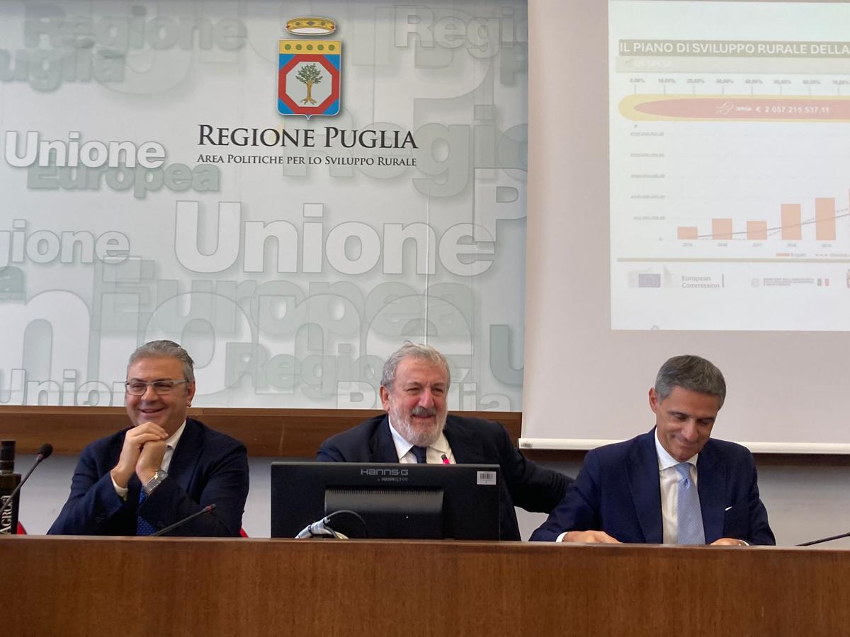 PSR Puglia, i dati avanzamento spesa 2025 Pentassuglia: ‘Da 5 anni risultato pieno’ PSR Puglia, i dati avanzamento spesa 2025 Pentassuglia: ‘Da 5 anni risultato pieno’