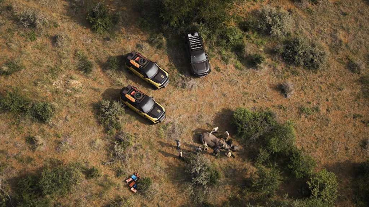 Defender Trophy 2026: al via l’epica sfida globale per la natura