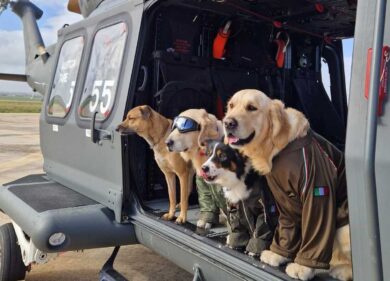 Lions Club alla Befana del SAR