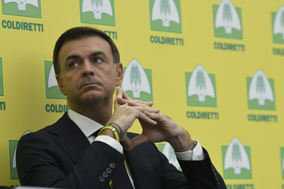 Antibiotici vietati in Ue e pesticidi, Prandini (Coldiretti) lancia l’allarme: “Mercosur? Dalla carne al riso: così importeremo prodotti che utilizzano agrofarmaci” Antibiotici vietati in Ue e pesticidi, Prandini (Coldiretti) lancia l’allarme: “Mercosur? Dalla carne al riso: così importeremo prodotti che utilizzano agrofarmaci”