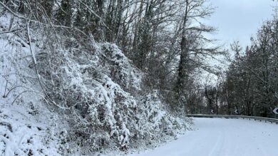 Lasciò un bimbo a piedi nella tempesta di neve, l’autista ora rischia il processo