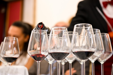 Vinext, ricavi in crescita del 23,8% e segno più su tutte le voci. Il bilancio sorride e l’ambiente ringrazia