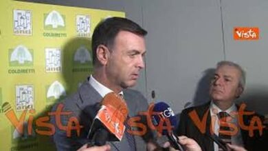 Mercosur, Prandini: “Nostra contrarietà in questa fase non significa che vogliamo chiusura mercati”
