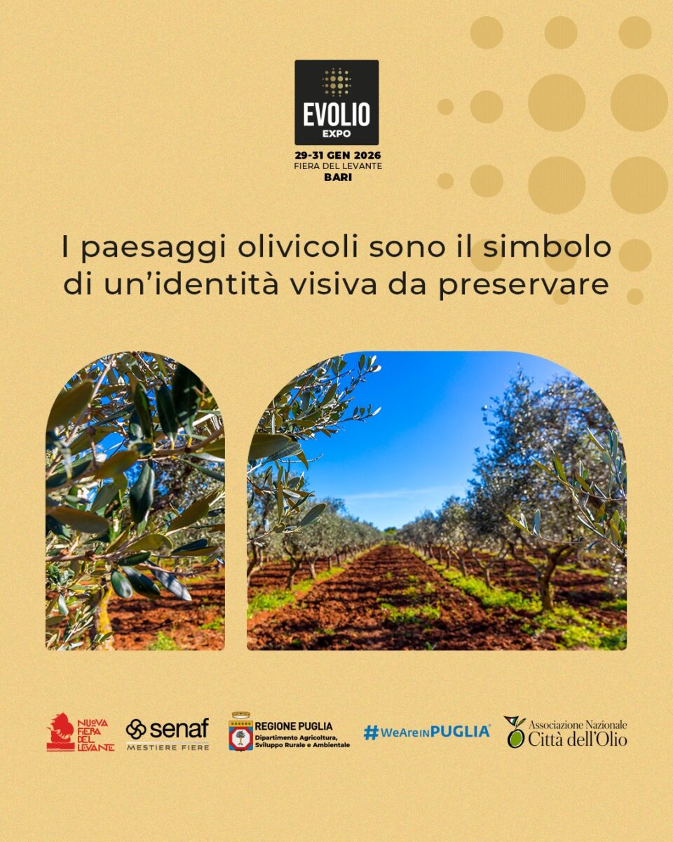 EVOLIO Expo 2026, verso la 2^ edizione in FdL attesi circa 50 buyer internazionali