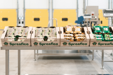 Intesa Sanpaolo: investiti 12 milioni di euro per il futuro dell’ortofrutta italiana con il Gruppo Spreafico