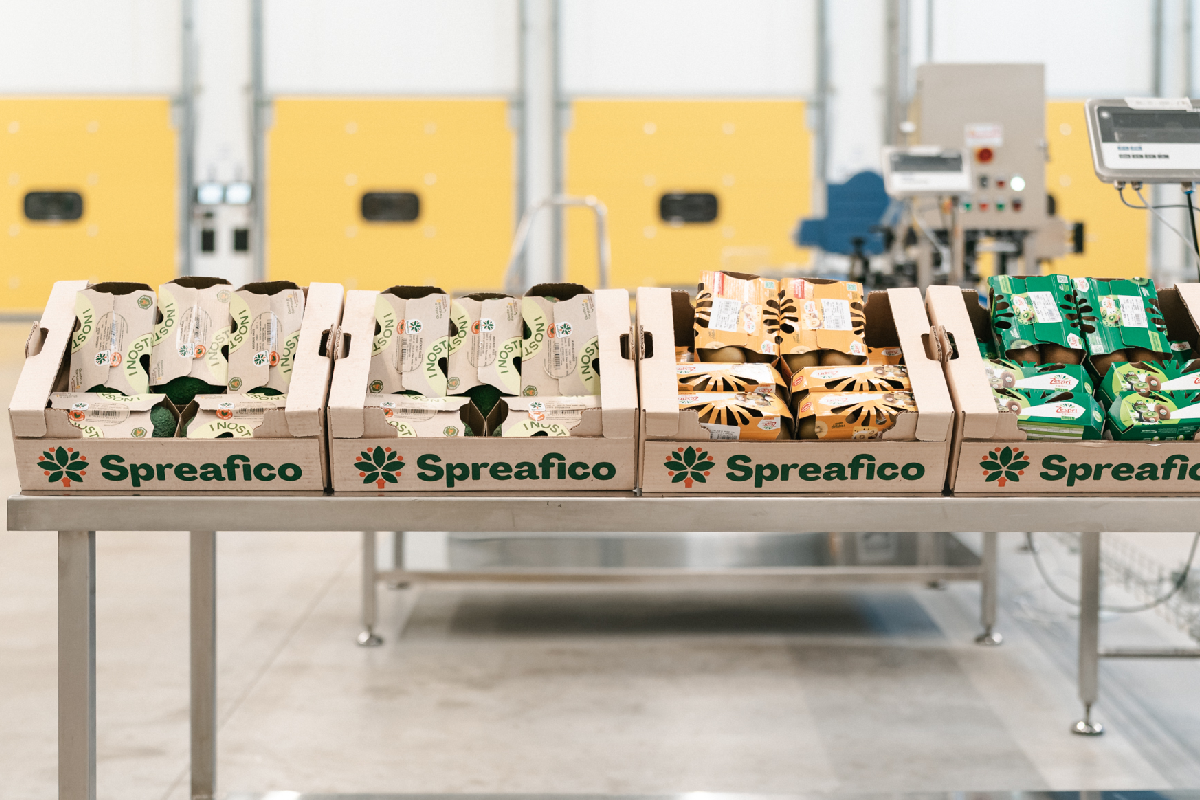 Intesa Sanpaolo: investiti 12 milioni di euro per il futuro dell’ortofrutta italiana con il Gruppo Spreafico Intesa Sanpaolo: investiti 12 milioni di euro per il futuro dell’ortofrutta italiana con il Gruppo Spreafico