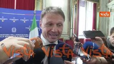 Tavolo del Vino, Lollobrigida: “Soddisfazione, mantenuti gli impegni presi”