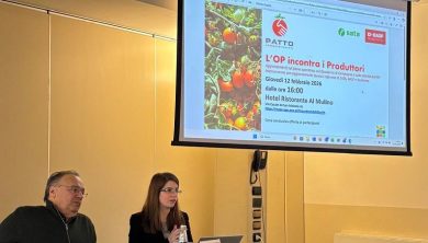 OP Patto Pomodoro Piemonte: “Tutela delle filiere e sicurezza alimentare non sono negoziabili”