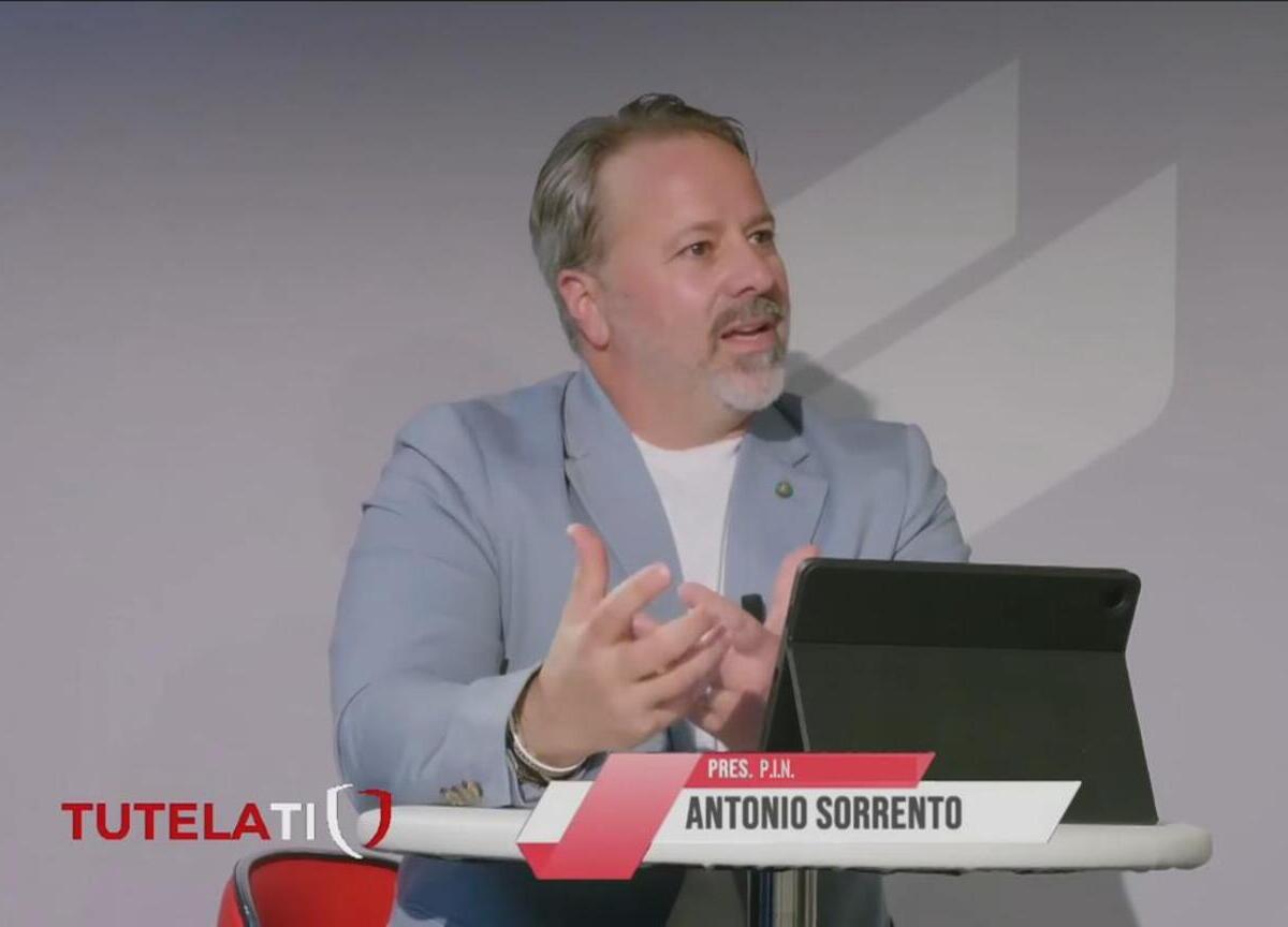 Rottamazione: PIN in pressing tra milleproroghe e convegni Rottamazione: PIN in pressing tra milleproroghe e convegni