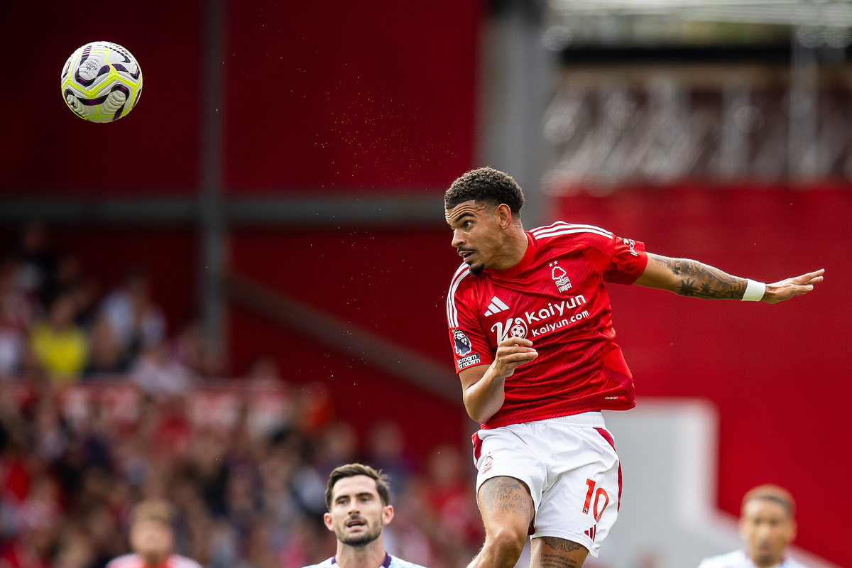 Programmi in TV stasera 26 febbraio 2026: Sanremo, Il Gladiatore, King’s Man, Piazzapulita, MasterChef e Bridgerton