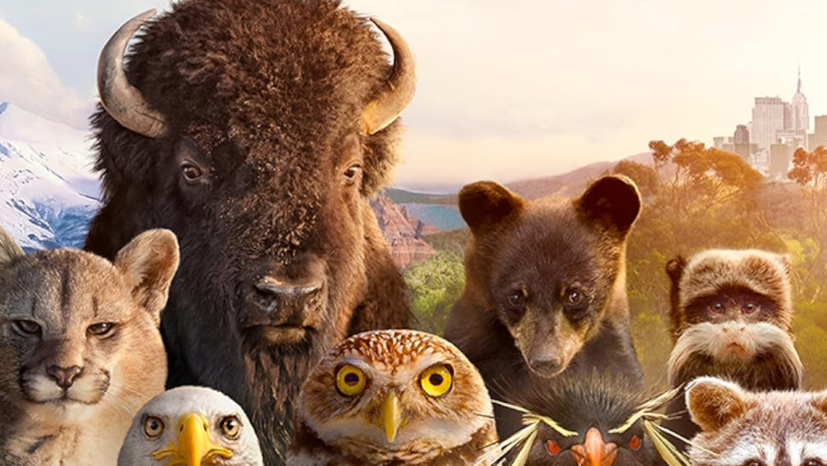 Programmi in TV stasera 26 febbraio 2026: Sanremo, Il Gladiatore, King’s Man, Piazzapulita, MasterChef e Bridgerton