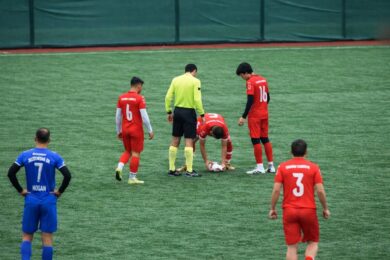 Un gabbiano crolla in campo dopo una pallonata: quello che fa il capitano sorprende tutti