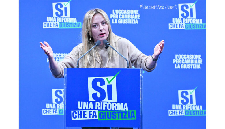 Credit photo Nick Zonna