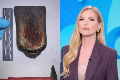 Garlasco, l’arma mai trovata: emerge una nuova teoria