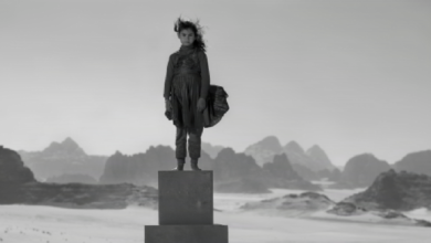 Gallerie d’Italia, a Torino la potenza visiva di Nick Brandt tra arte e denuncia ambientale