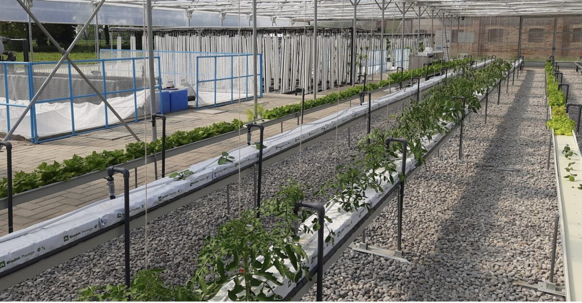 Dacia Duster Hybrid 155: consumi, comfort e anima concreta