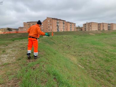 ANBI, ampliato il progetto Argini Fioriti dell’Università di Pisa e Consorzio di bonifica Toscana Sud