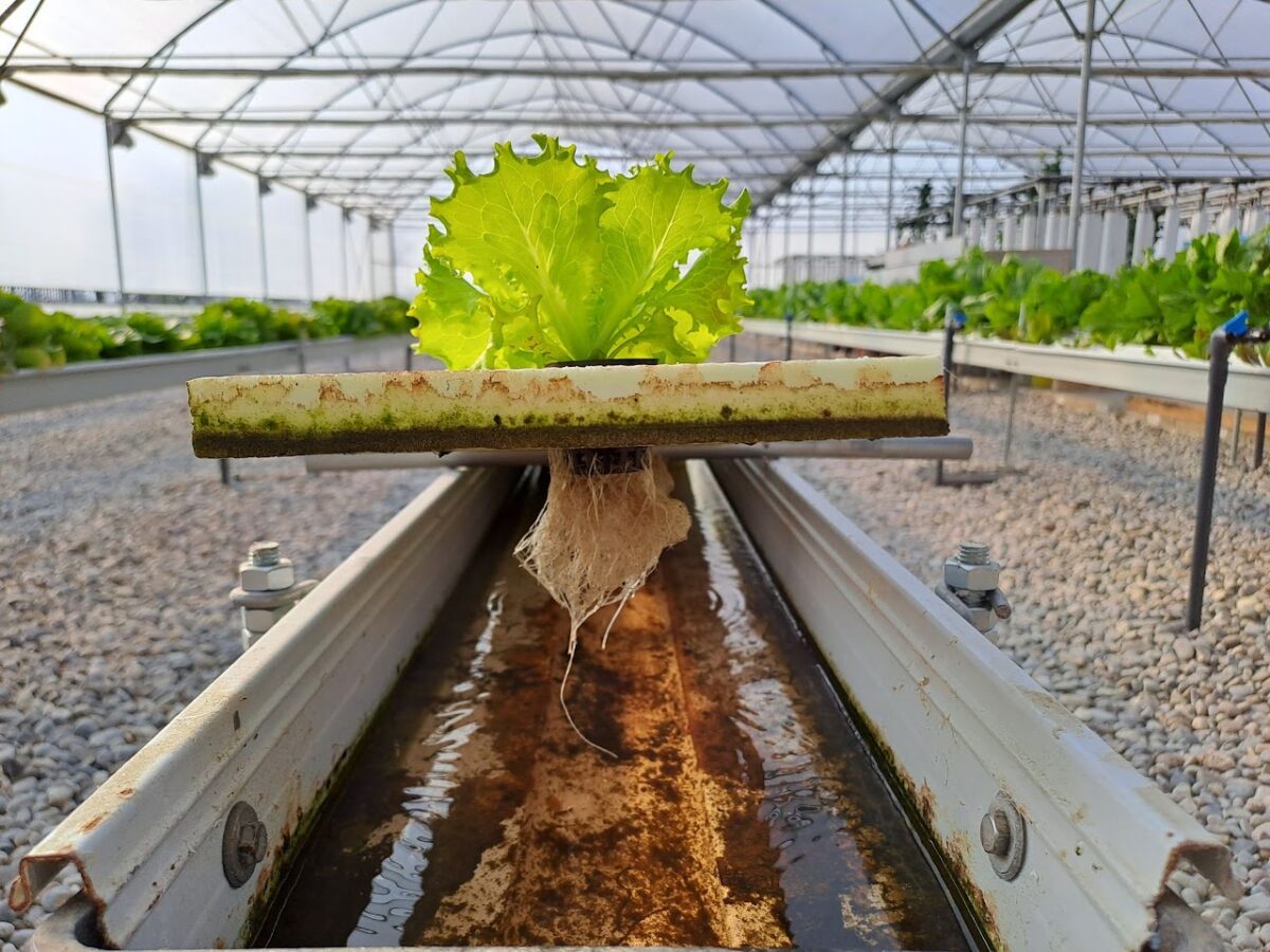 Dacia Duster Hybrid 155: consumi, comfort e anima concreta