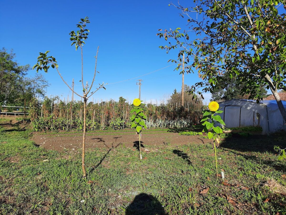 Dacia Duster Hybrid 155: consumi, comfort e anima concreta
