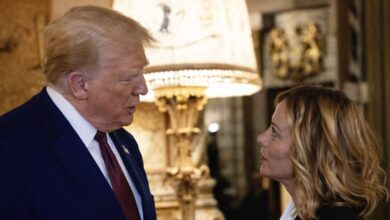 Trump attacca Meloni, ma sui social è lei che ci guadagna: follower in crescita per la premier, in calo per il tycoon