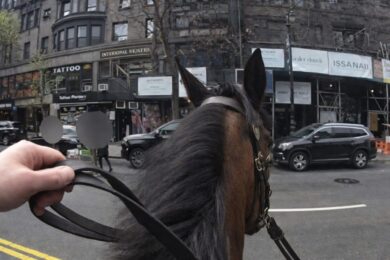 Inseguimento a cavallo a Manhattan: poliziotto ferma un ladro tra traffico e passanti