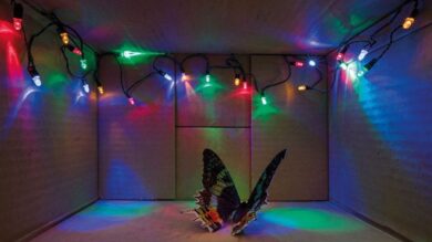 New Directions: miart, but different. Trent’anni di fiera tra nuove sezioni e dialogo con la città