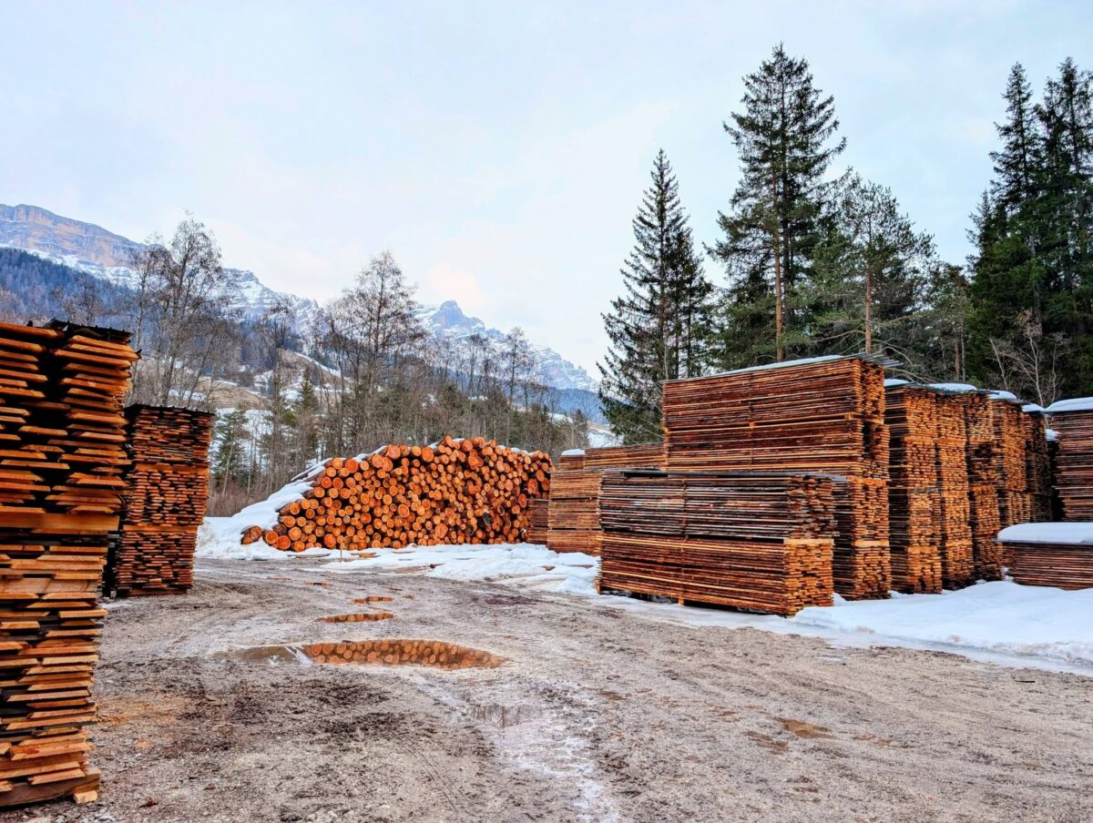 Il potere del legno: affaritaliani in visita alla storica falegnameria Nagler Holzbau in Alta Badia
