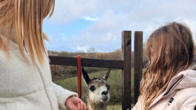 Pasqua, gli auguri di Meloni con la figlia Ginevra e… un lama