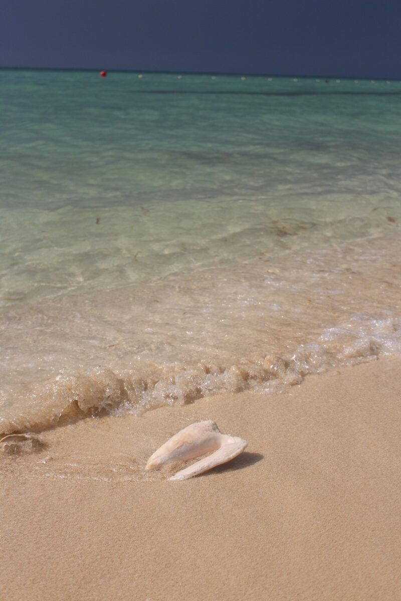 Caraibi in crociera, il paradiso da vivere